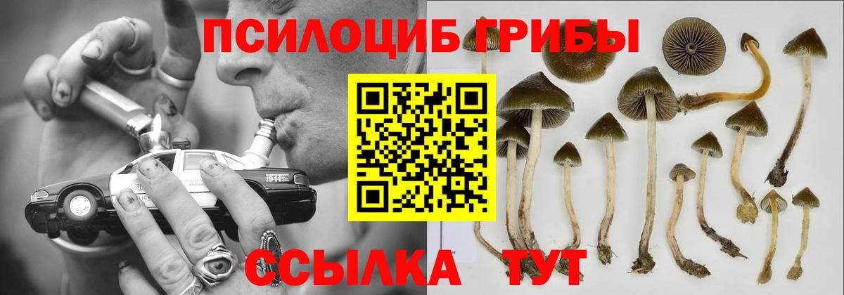 Псилоцибиновые грибы Magic Shrooms  Вход с VPN  Мариинск  Галлюциногенные грибы ЛСД 